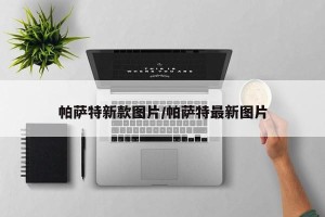 帕萨特新款图片/帕萨特最新图片