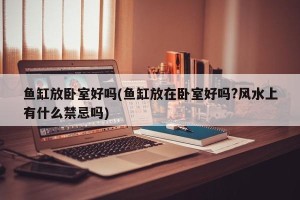 鱼缸放卧室好吗(鱼缸放在卧室好吗?风水上有什么禁忌吗)