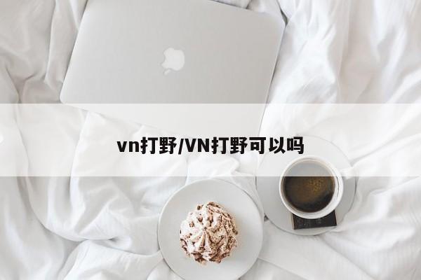 vn打野/VN打野可以吗